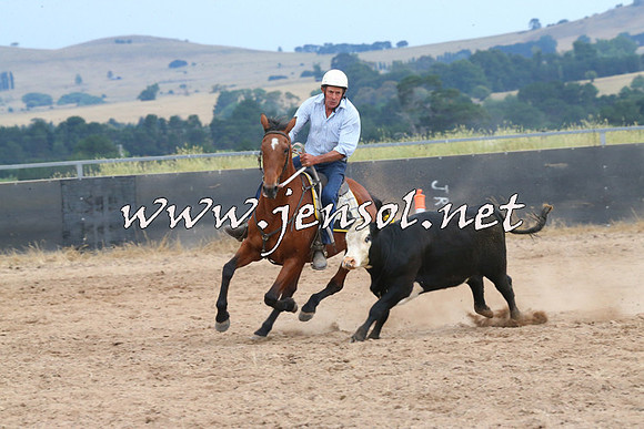 BraidwoodCampdraft2014_2641