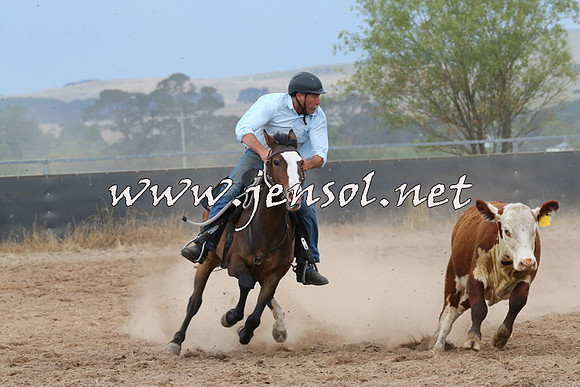 BraidwoodCampdraft2014_2579