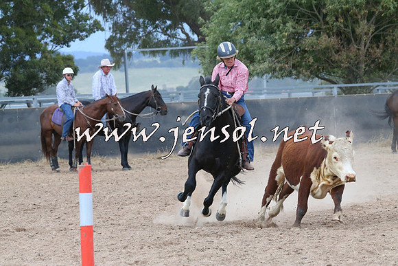 BraidwoodCampdraft2014_2576