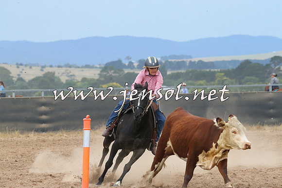 BraidwoodCampdraft2014_2568