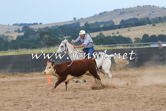 BraidwoodCampdraft2014_2607