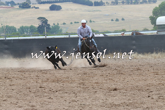 BraidwoodCampdraft2014_2683