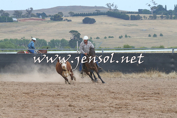 BraidwoodCampdraft2014_2629