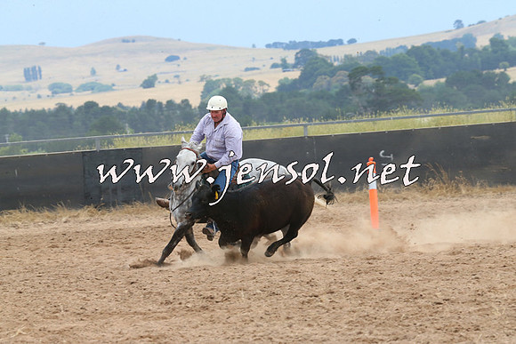 BraidwoodCampdraft2014_2702