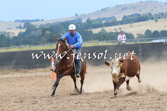 BraidwoodCampdraft2014_2666