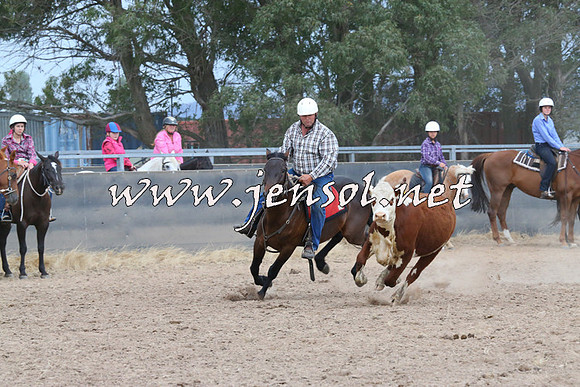 BraidwoodCampdraft2014_2632