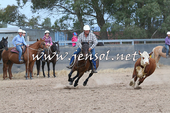 BraidwoodCampdraft2014_2634