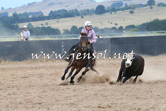 BraidwoodCampdraft2014_2588