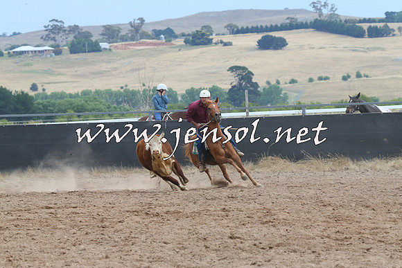 BraidwoodCampdraft2014_2654