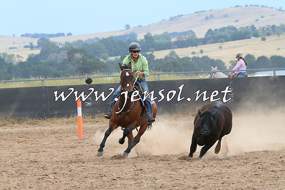 BraidwoodCampdraft2014_2706