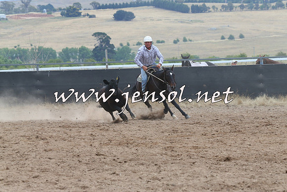 BraidwoodCampdraft2014_2684
