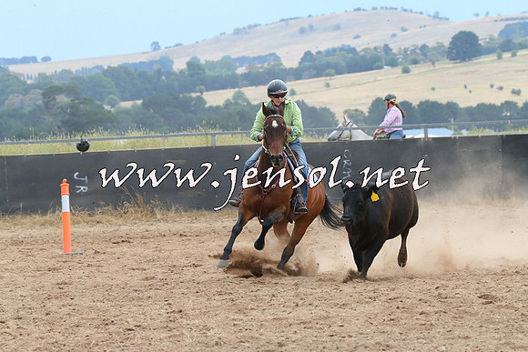 BraidwoodCampdraft2014_2709