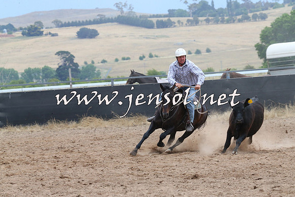 BraidwoodCampdraft2014_2676
