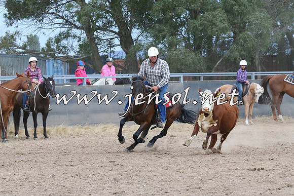 BraidwoodCampdraft2014_2631