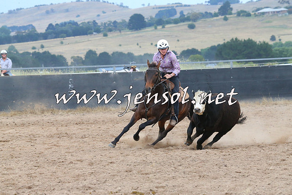 BraidwoodCampdraft2014_2584