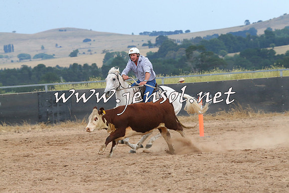 BraidwoodCampdraft2014_2605