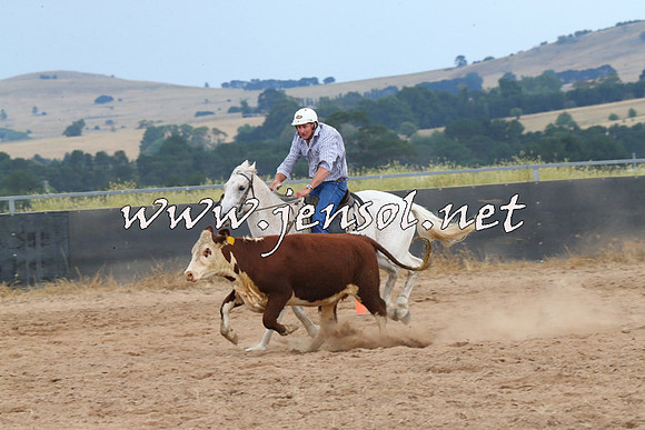 BraidwoodCampdraft2014_2604
