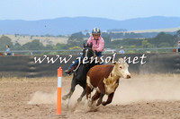 BraidwoodCampdraft2014_2569
