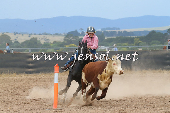 BraidwoodCampdraft2014_2569