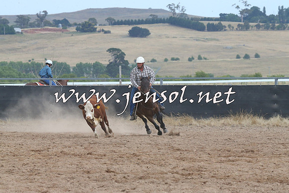 BraidwoodCampdraft2014_2627