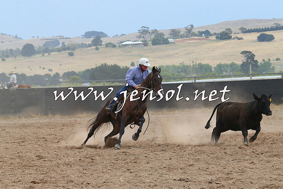 BraidwoodCampdraft2014_2716