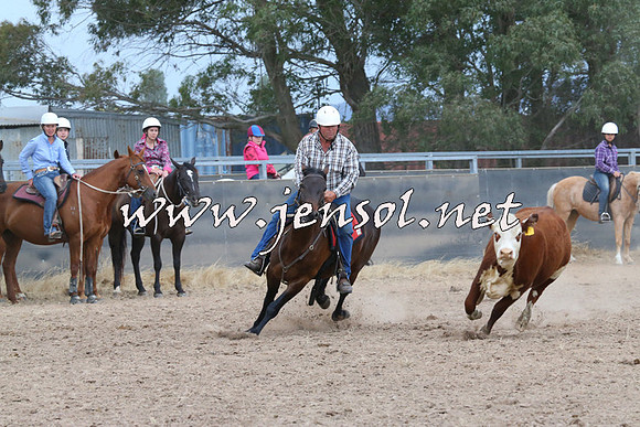 BraidwoodCampdraft2014_2635