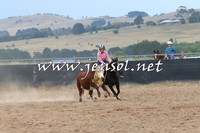 BraidwoodCampdraft2014_2565