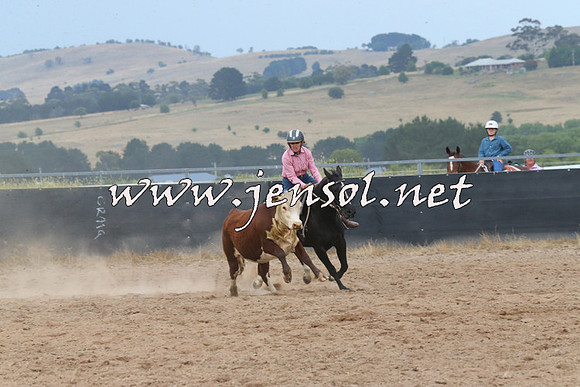 BraidwoodCampdraft2014_2565