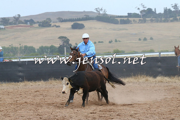 BraidwoodCampdraft2014_2589