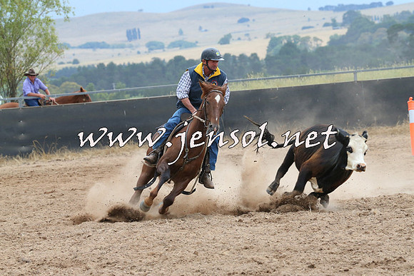 BraidwoodCampdraft2014_2695