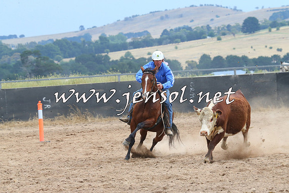 BraidwoodCampdraft2014_2667