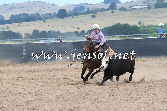 BraidwoodCampdraft2014_2585