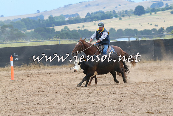 BraidwoodCampdraft2014_2689