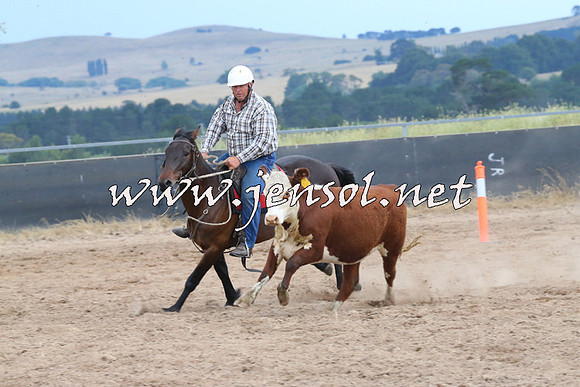 BraidwoodCampdraft2014_2624
