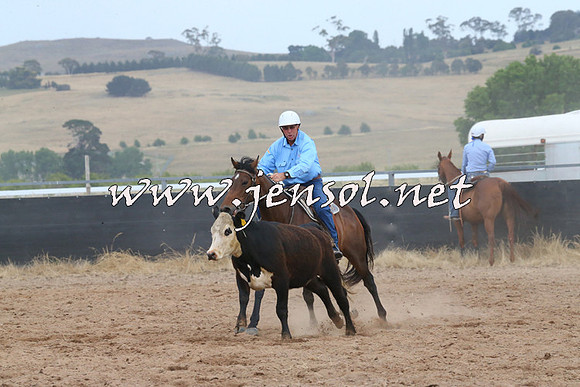 BraidwoodCampdraft2014_2592