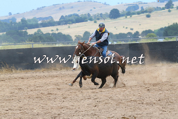 BraidwoodCampdraft2014_2691