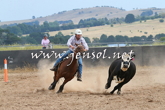 BraidwoodCampdraft2014_2660