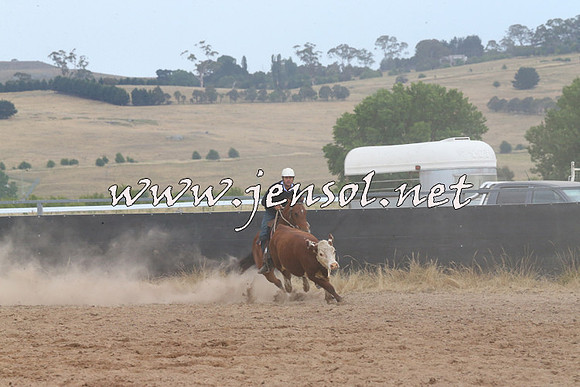 BraidwoodCampdraft2014_2620