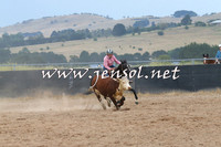 BraidwoodCampdraft2014_2559