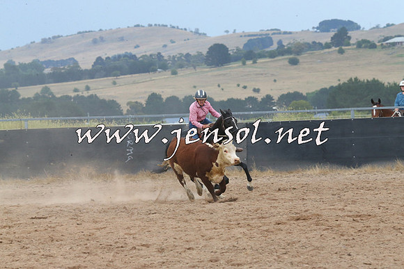 BraidwoodCampdraft2014_2559