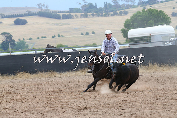 BraidwoodCampdraft2014_2679