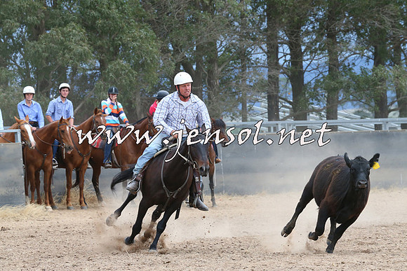 BraidwoodCampdraft2014_2685