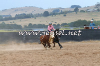 BraidwoodCampdraft2014_2566