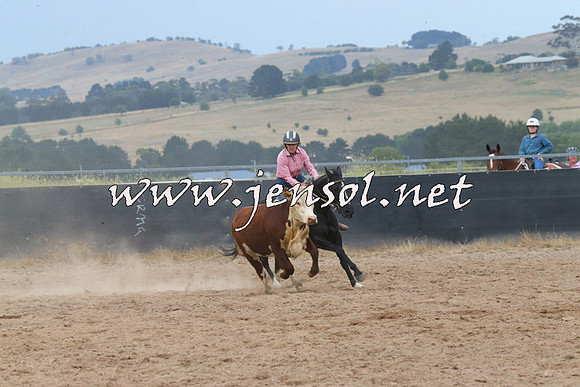BraidwoodCampdraft2014_2566
