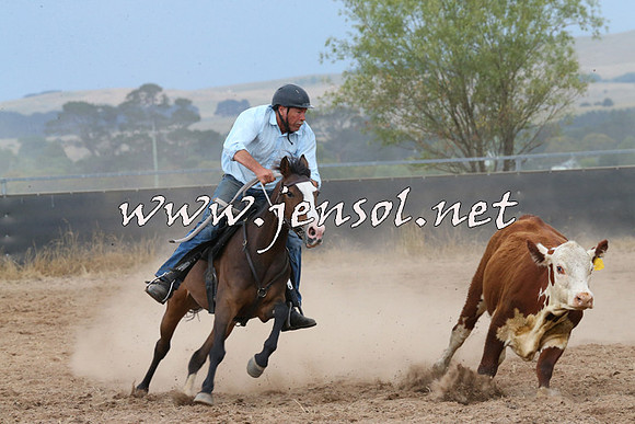 BraidwoodCampdraft2014_2578