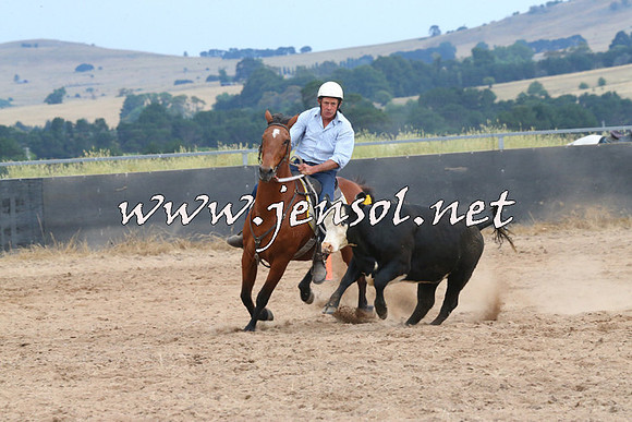 BraidwoodCampdraft2014_2642