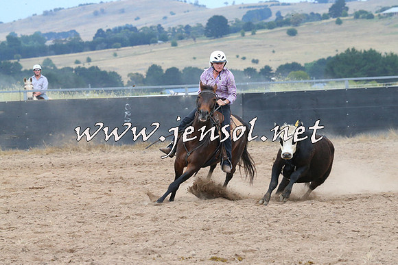 BraidwoodCampdraft2014_2583