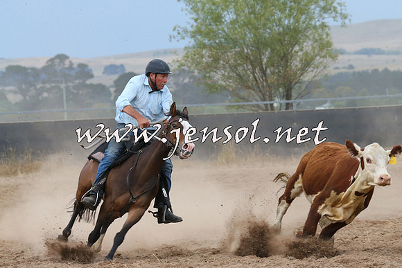 BraidwoodCampdraft2014_2582