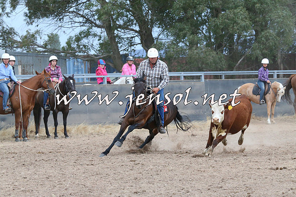 BraidwoodCampdraft2014_2630
