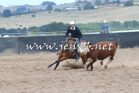 BraidwoodCampdraft2014_2616